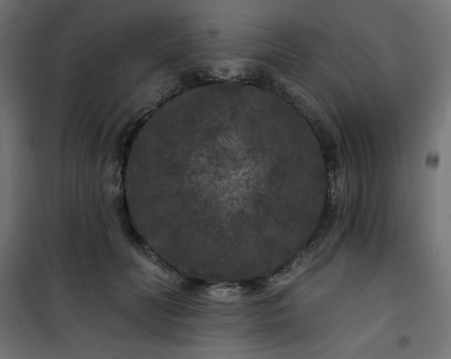 X0000101140606200807071128