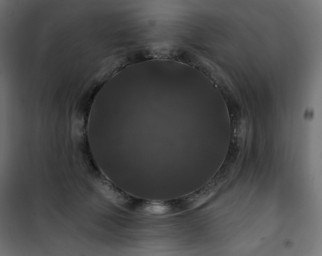 X0000101140610200807071128