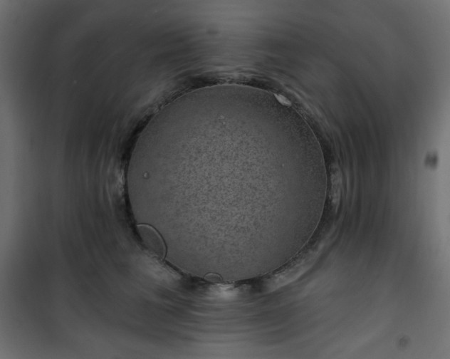 X0000101140613200807071128