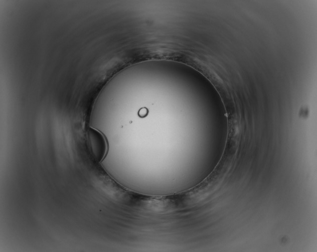 X0000101140615200807071128