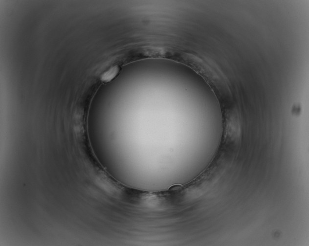 X0000101140616200807071128