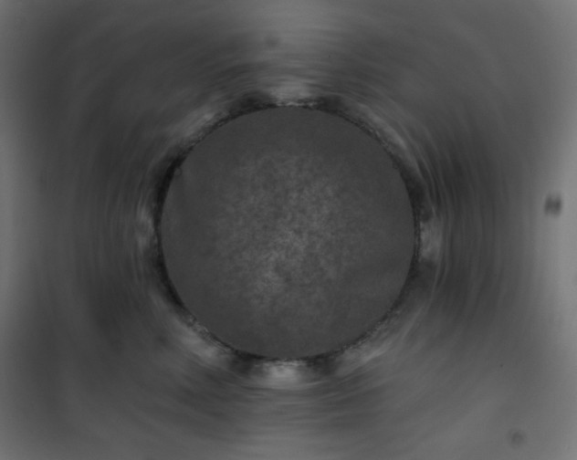 X0000101140618200807071128