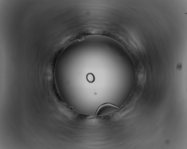 X0000101140620200807071128