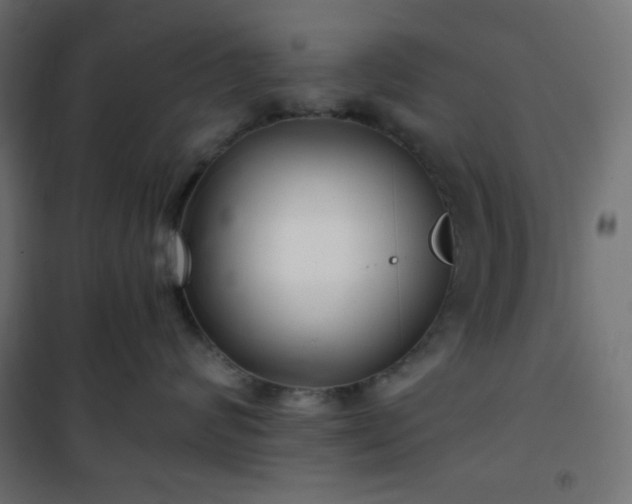 X0000101140624200807071128