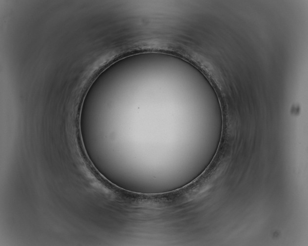 X0000101140625200807071127