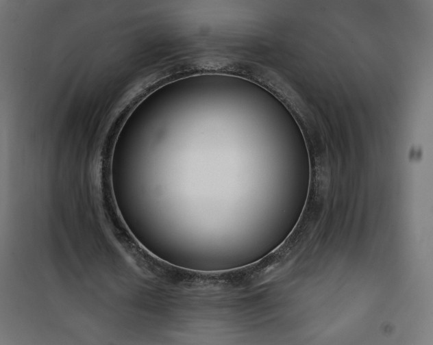 X0000101140626200807071127