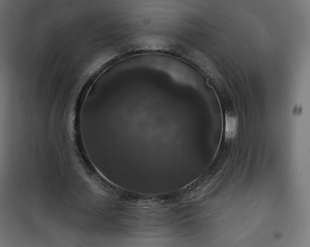 X0000101140627200807071127