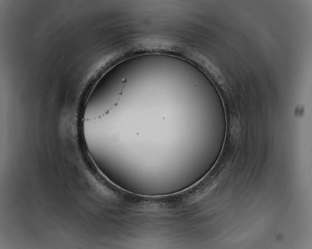 X0000101140629200807071127