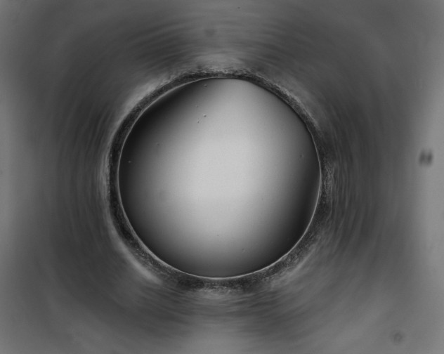 X0000101140630200807071127