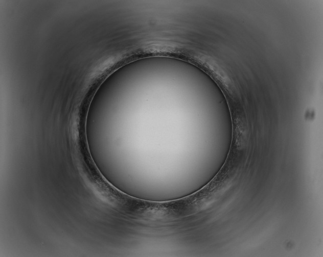 X0000101140631200807071127