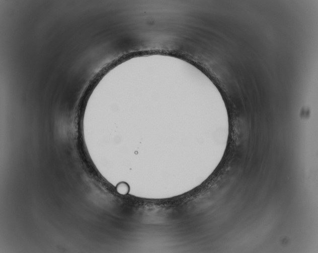 X0000101140632200807071127