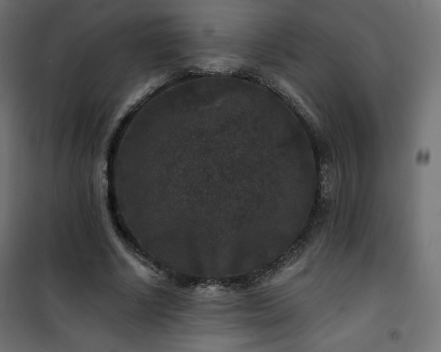 X0000101140634200807071127