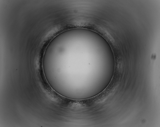 X0000101140635200807071127