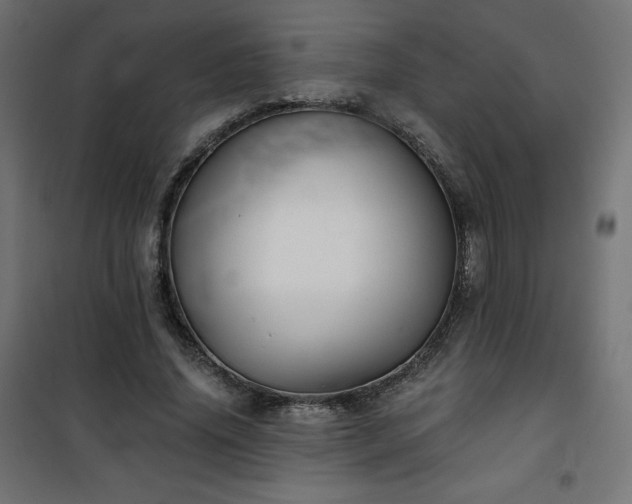 X0000101140636200807071127