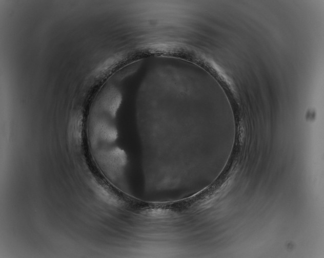 X0000101140637200807071127