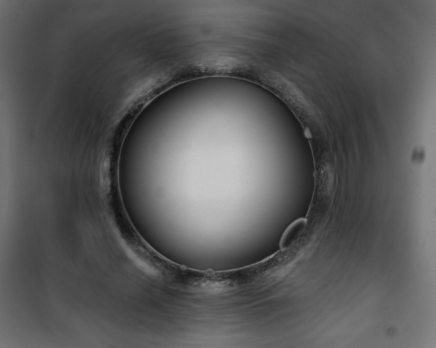 X0000101140638200807071127