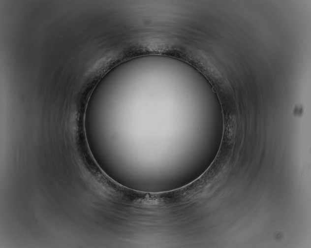 X0000101140639200807071127