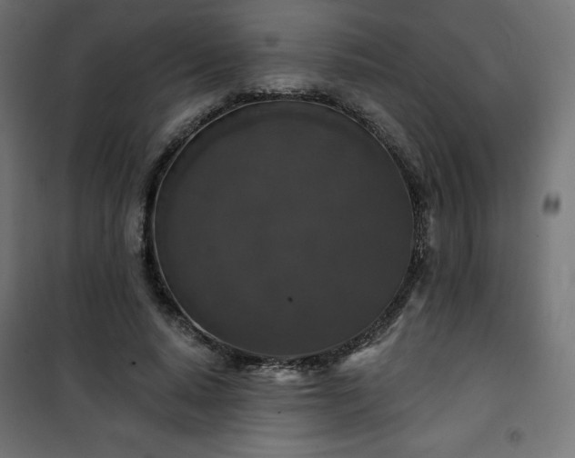 X0000101140640200807071127