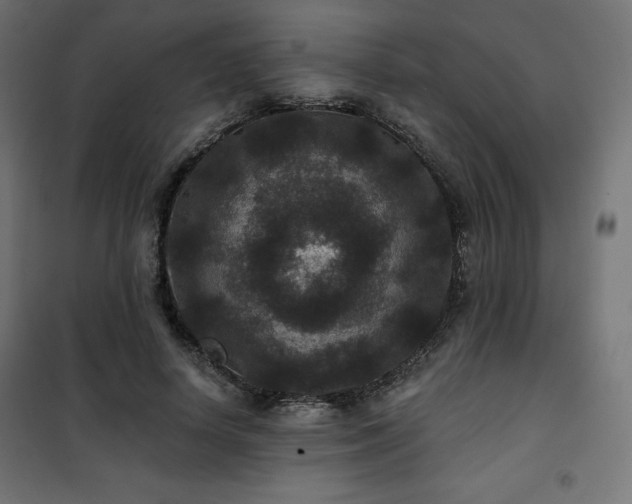 X0000101140642200807071127