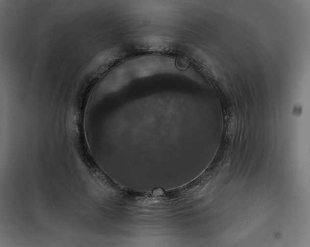 X0000101140643200807071127