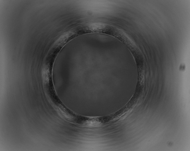 X0000101140644200807071127