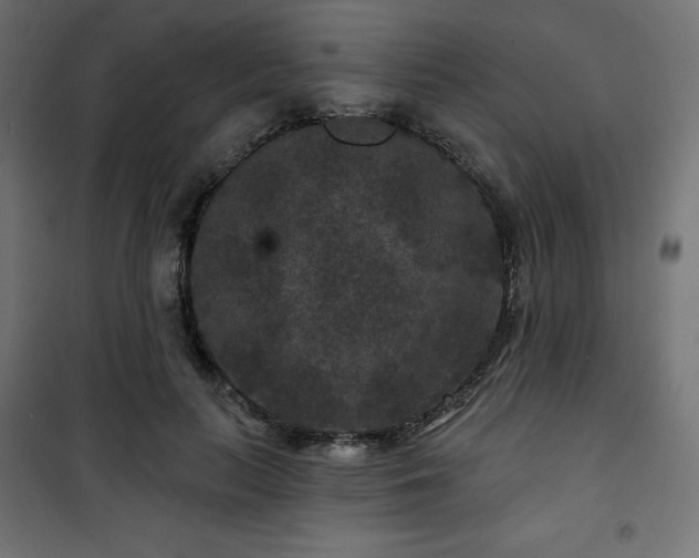 X0000101140647200807071127