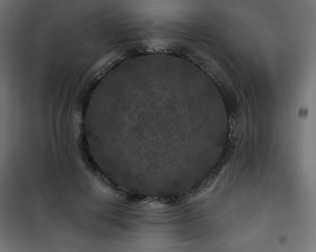 X0000101140648200807071127