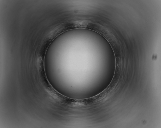 X0000101140649200807071127