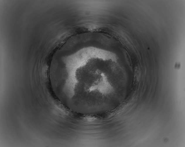 X0000101140650200807071127