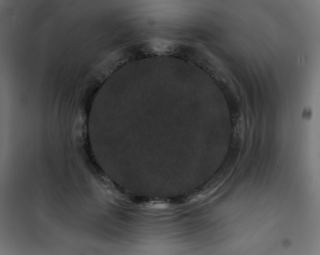 X0000101140651200807071127