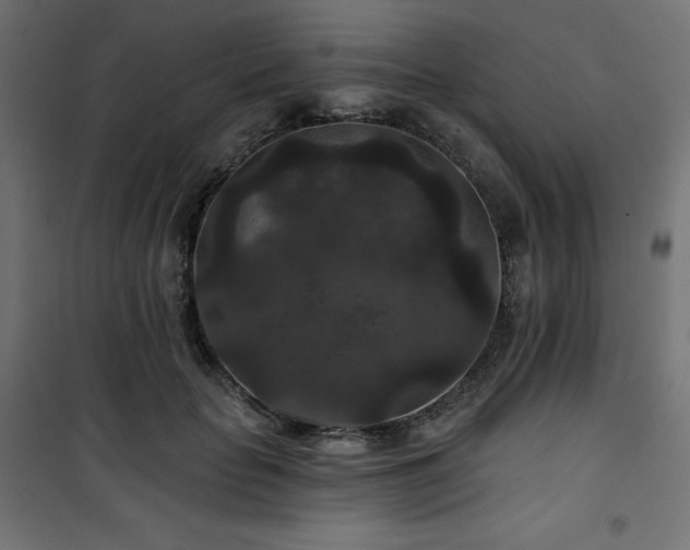 X0000101140653200807071127