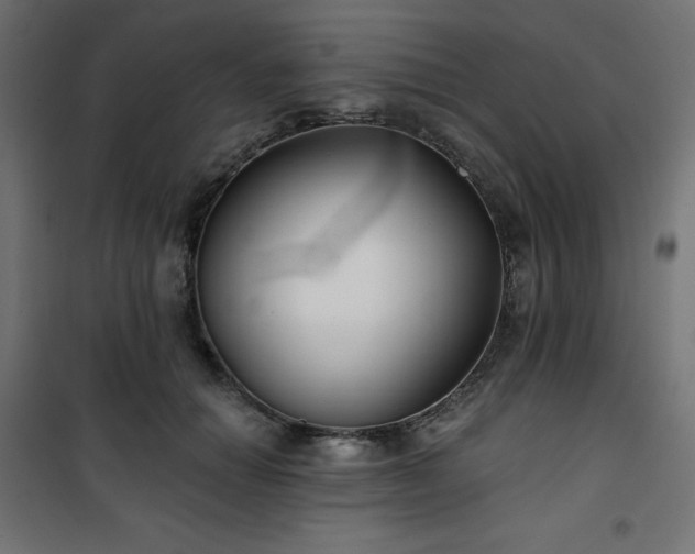 X0000101140654200807071127