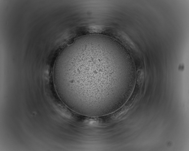 X0000101140655200807071127