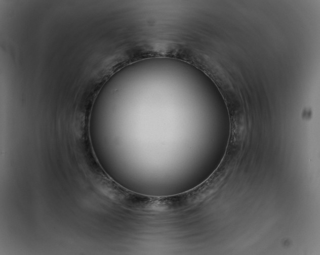 X0000101140656200807071127