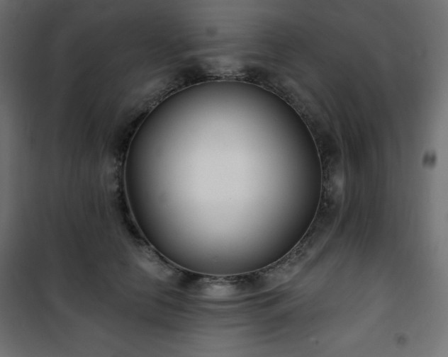 X0000101140658200807071127