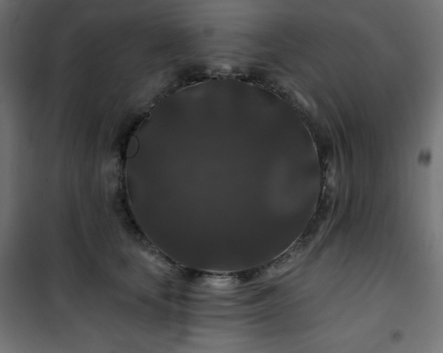 X0000101140659200807071127