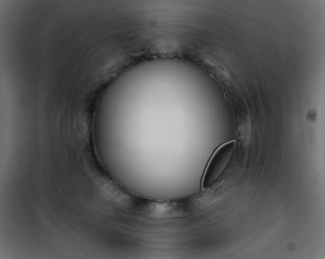 X0000101140662200807071127