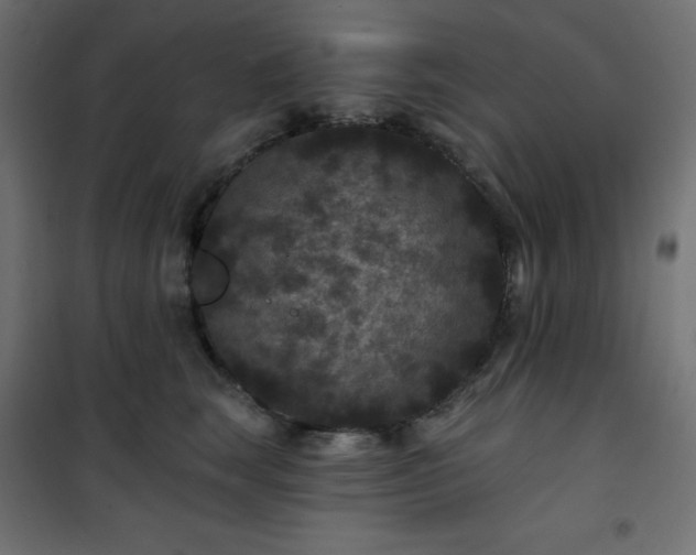 X0000101140663200807071127