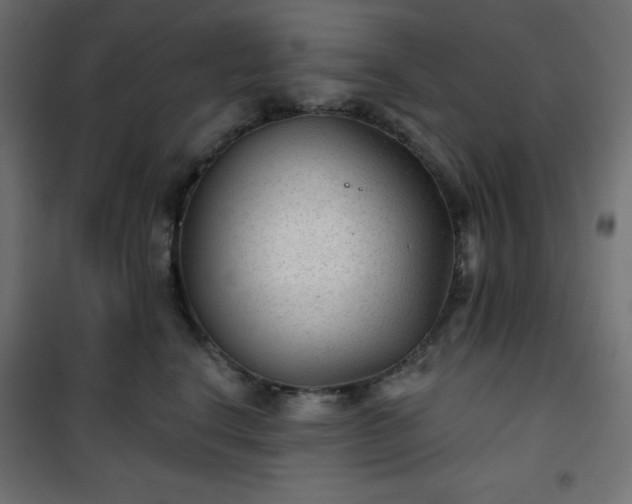 X0000101140664200807071127