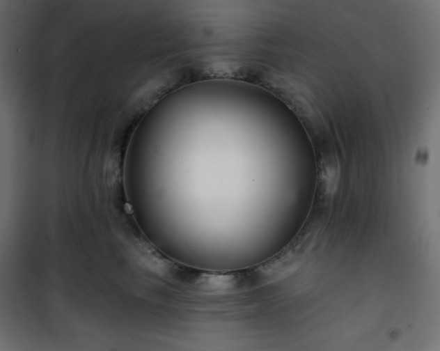 X0000101140665200807071127