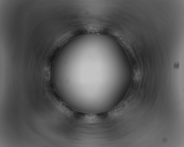 X0000101140666200807071127