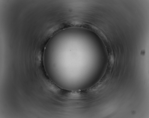 X0000101140668200807071127