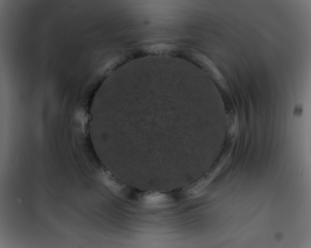 X0000101140669200807071127