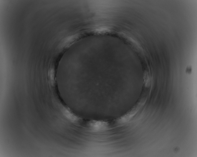 X0000101140670200807071127