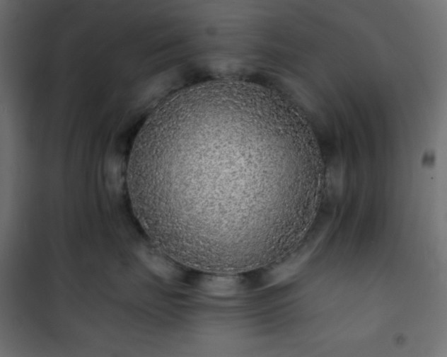 X0000101140671200807071128