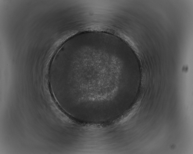 X0000101140673200807071127