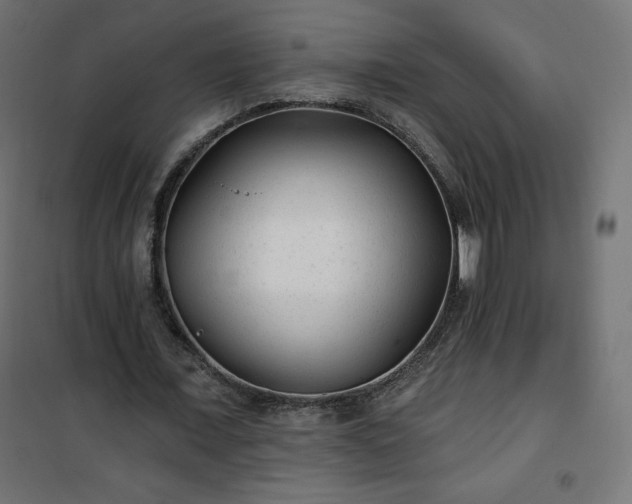 X0000101140675200807071127