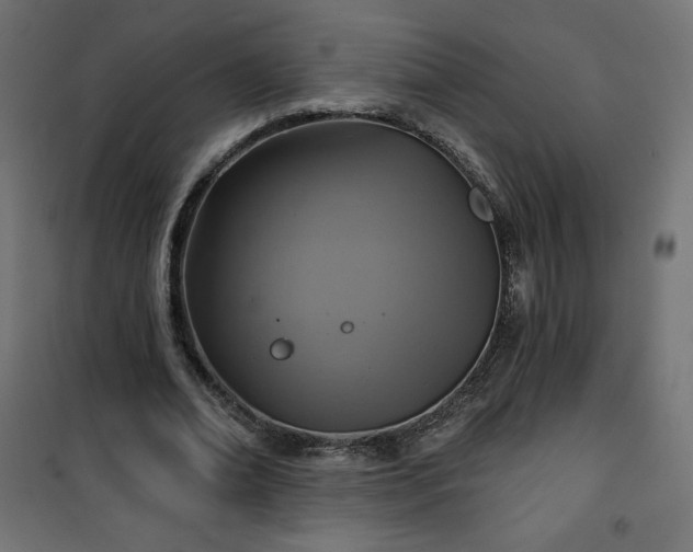 X0000101140678200807071127