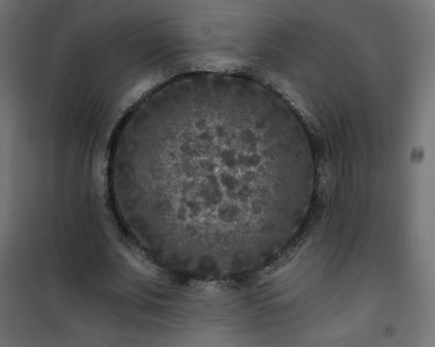 X0000101140679200807071127