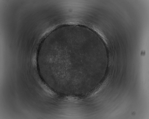 X0000101140681200807071127